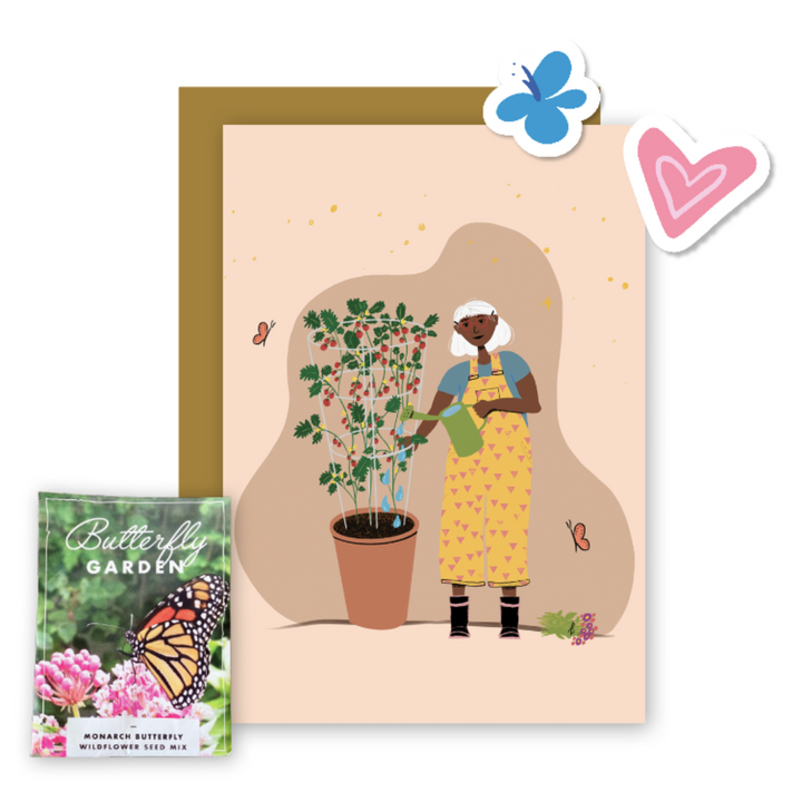 Butterfly Garden Pollinator Greetings Kit w. Non-GMO Butterfly Seed Packet, Infosheets + Gardener Greeting Card (Celebrate Pollinators)