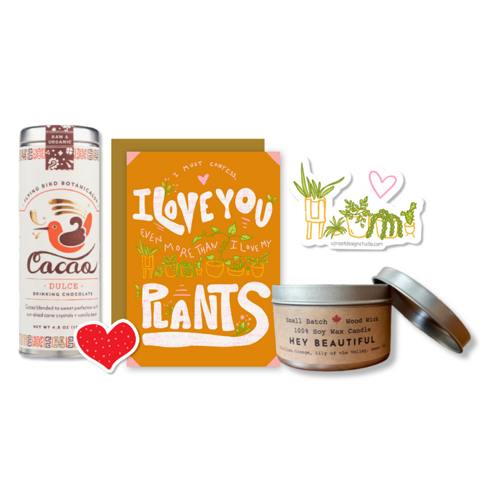 "Connect" Gift Box with Luscious Flavored Hot Chocolate, Scented Soy Candle with Crackling Wick, Houseplant Greeting Card, Stickers (Love in Bloom)
