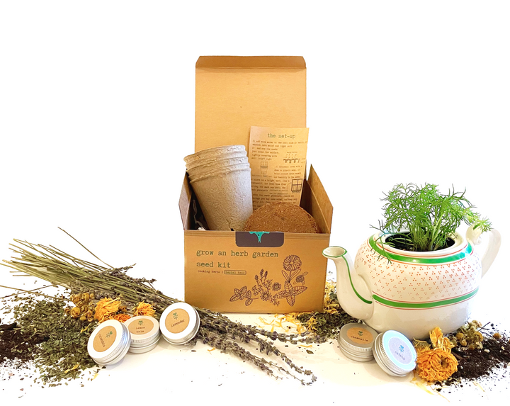 "Festive Garden" Gift Box: Chai, Stickers, Evergreen Candle, Cards, Meditations, Journal, Herbal Tea + White Polka-Dot Growing Kits (Winter Dreaming)