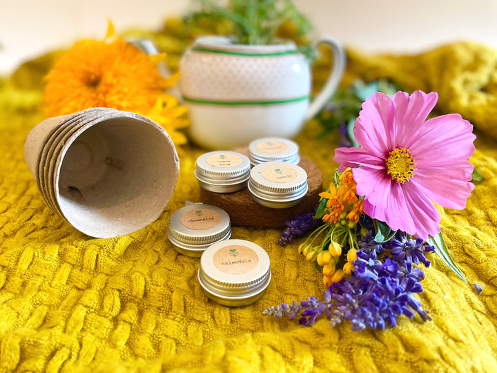 "Festive Garden" Gift Box: Chai, Stickers, Evergreen Candle, Cards, Meditations, Journal, Herbal Tea + White Polka-Dot Growing Kits (Winter Dreaming)
