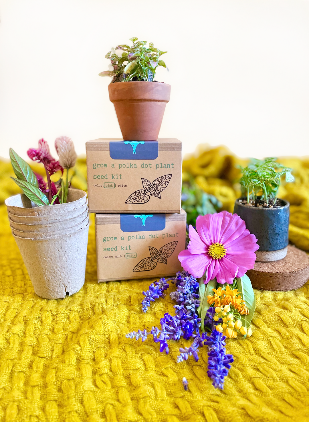 Build Your Own Custom Growing Gift Box with Garden Kit, Plant Kit, Organic Tea & Meditation Card of Your Choice