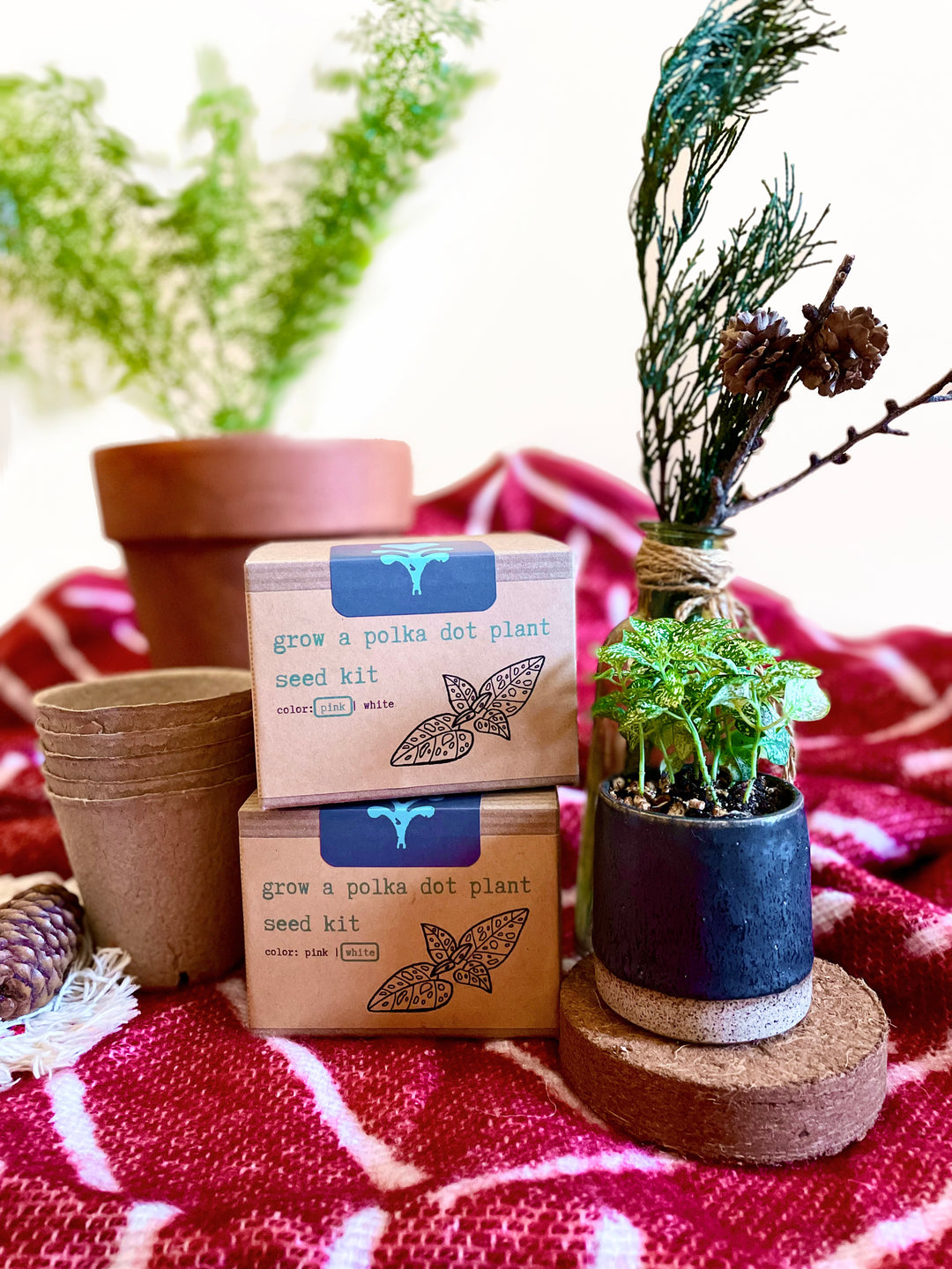 "Get Growing" Mindful Gardening Kit: Mindfulness Journal, Meditation Card + Growing Kit - Assorted (Winter Dreaming)
