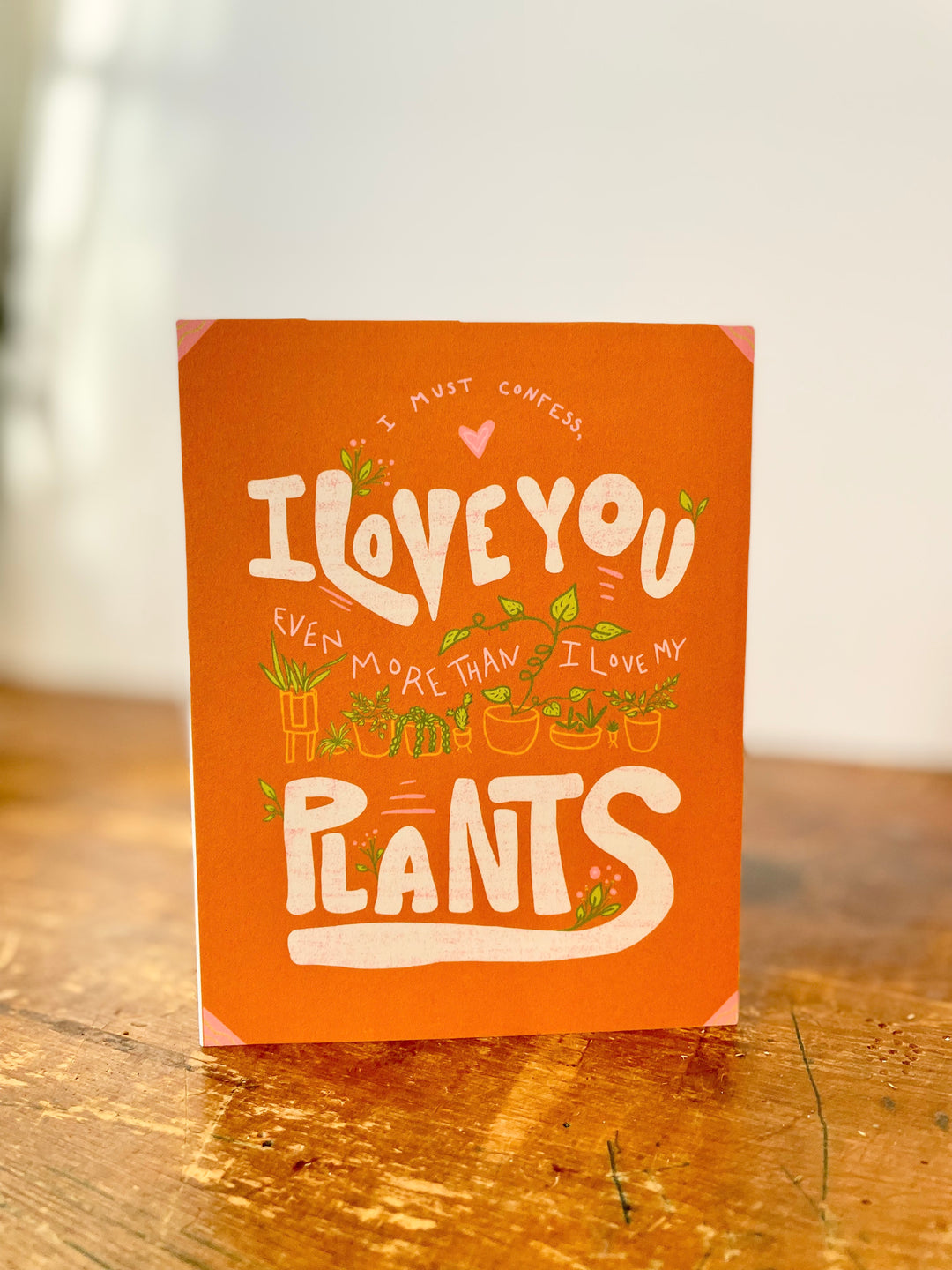 "Connect" Gift Box with Luscious Flavored Hot Chocolate, Scented Soy Candle with Crackling Wick, Houseplant Greeting Card, Stickers (Love in Bloom)