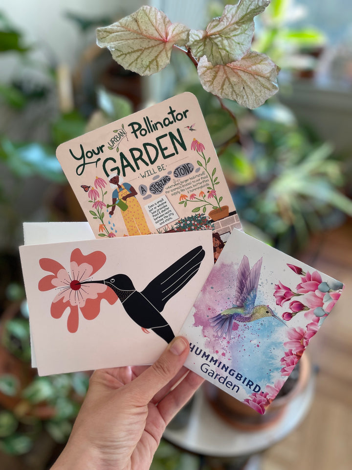 Hummingbird Garden Greetings Kit w. Non-GMO "Hummingbird Garden" Packet w. Seeds, Infosheets + Hummingbird Greeting Card (Celebrate Pollinators)