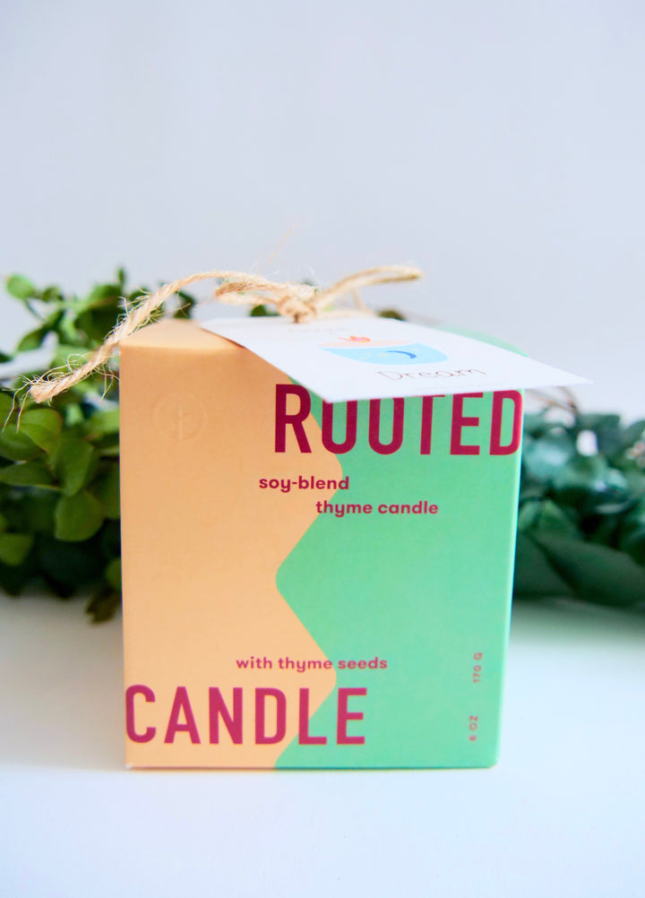 Assorted Scented Soy-Blend Rooted Ceramic Candle + Planter with Non-GMO Seeds (Modern Sprout)