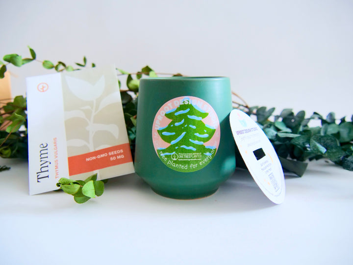 Assorted Scented Soy-Blend Rooted Ceramic Candle + Planter with Non-GMO Seeds (Modern Sprout)