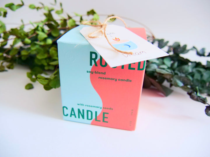 Assorted Scented Soy-Blend Rooted Ceramic Candle + Planter with Non-GMO Seeds (Modern Sprout)