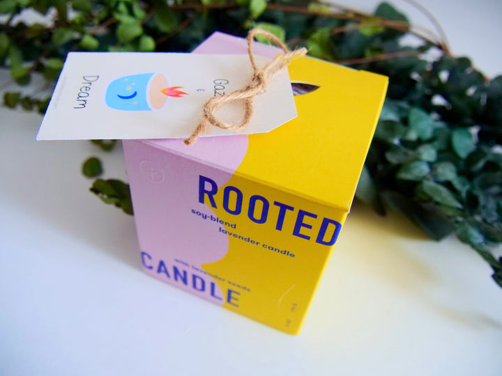 Assorted Scented Soy-Blend Rooted Ceramic Candle + Planter with Non-GMO Seeds (Modern Sprout)