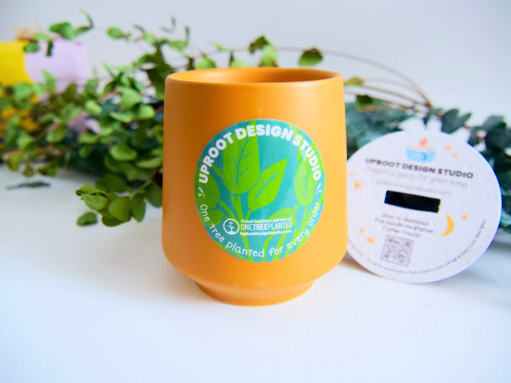Assorted Scented Soy-Blend Rooted Ceramic Candle + Planter with Non-GMO Seeds (Modern Sprout)
