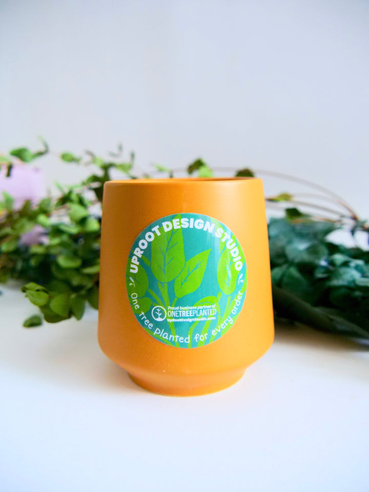Assorted Scented Soy-Blend Rooted Ceramic Candle + Planter with Non-GMO Seeds (Modern Sprout)