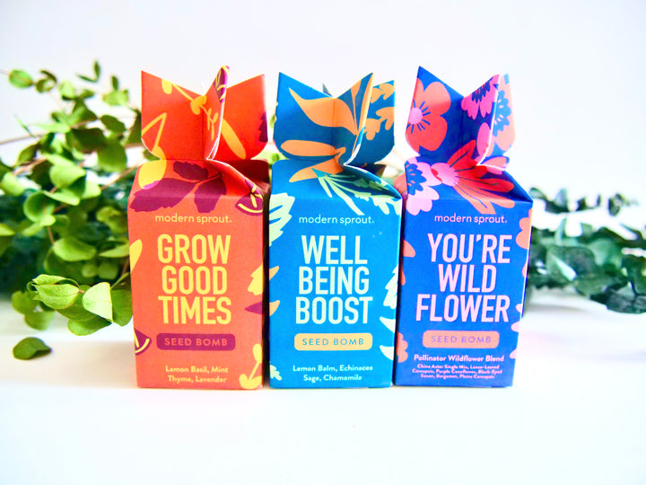 Assorted Hand-Rolled Seed Bomb made with Organic or Non-GMO Seeds (Modern Sprout)