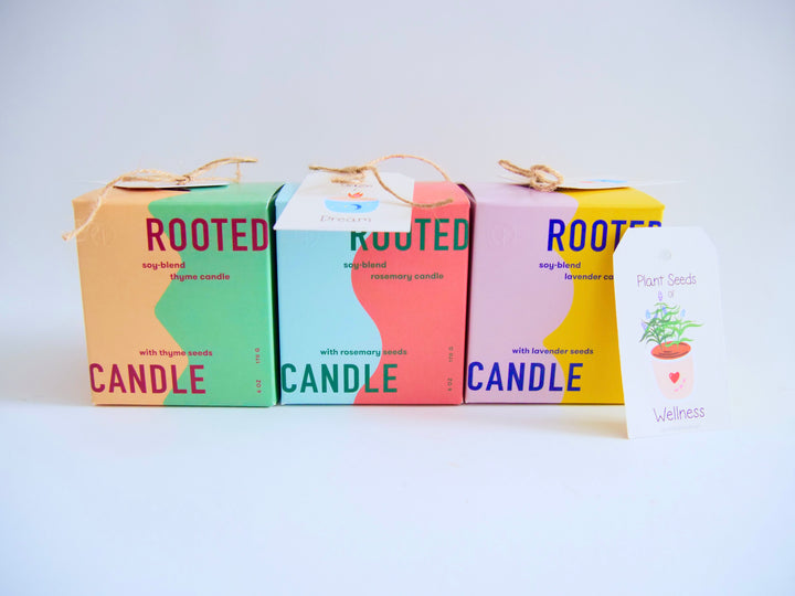 Assorted Scented Soy-Blend Rooted Ceramic Candle + Planter with Non-GMO Seeds (Modern Sprout)