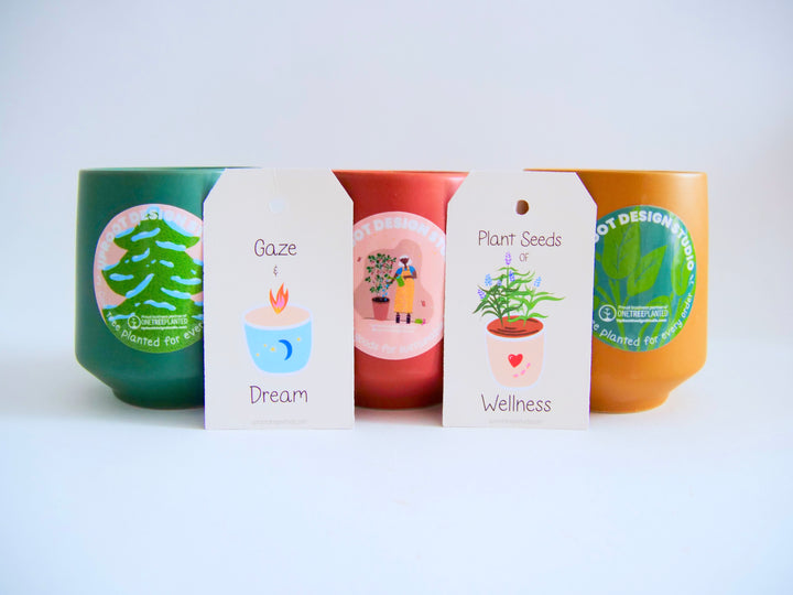 Assorted Scented Soy-Blend Rooted Ceramic Candle + Planter with Non-GMO Seeds (Modern Sprout)