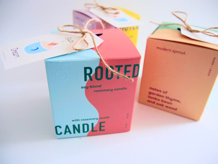 Assorted Scented Soy-Blend Rooted Ceramic Candle + Planter with Non-GMO Seeds (Modern Sprout)