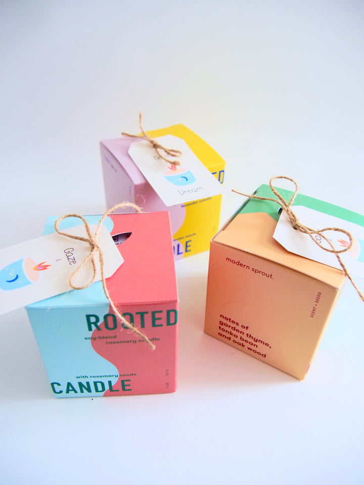 Assorted Scented Soy-Blend Rooted Ceramic Candle + Planter with Non-GMO Seeds (Modern Sprout)