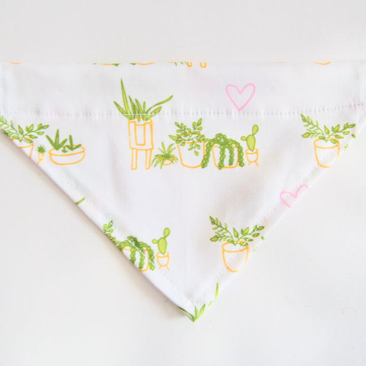 100% Organic Cotton Hand-Sewn Pet Bandana with "Whimsical Houseplants" Pattern in White (Green Paws)
