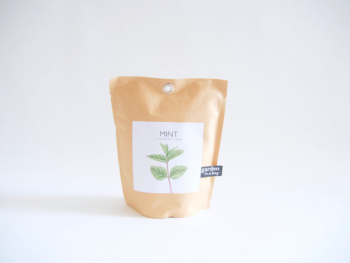 Garden in a Bag Kit with Soil, Seeds & Growing Bag (Assorted Year-Round)