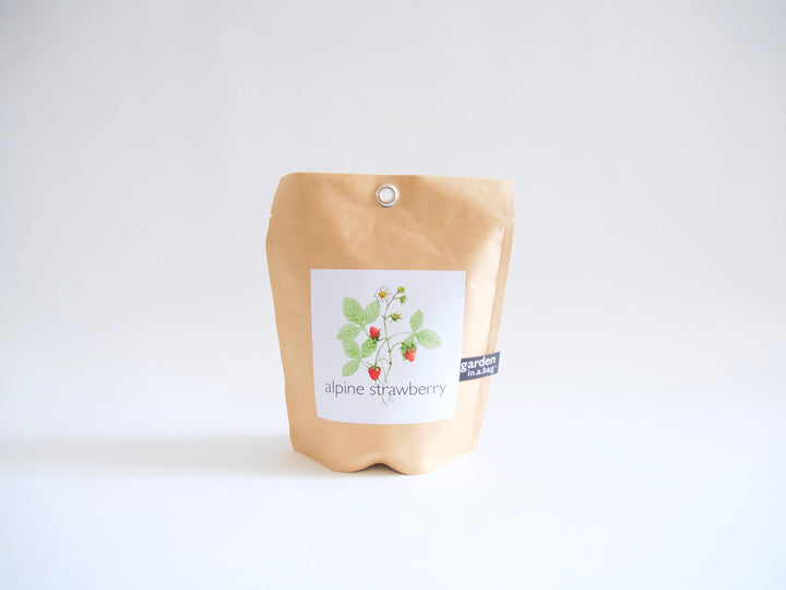 "Get Growing" Mindful Garden in a Bag Kit: Mindfulness Journal, Meditation Card + Growing Kit - (Assorted Year-Round)