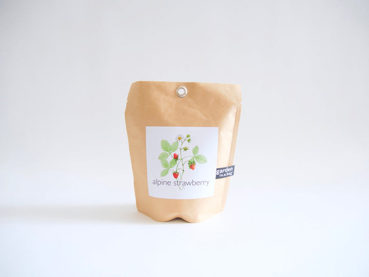 Garden in a Bag Kit with Soil, Seeds & Growing Bag (Assorted Year-Round)