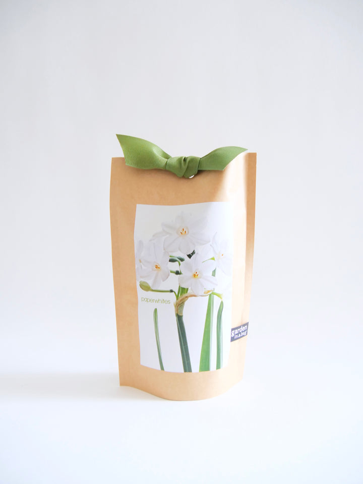 "Get Growing" Mindful Garden in a Bag Kit: Mindfulness Journal, Meditation Card + Growing Kit - (Assorted Year-Round)