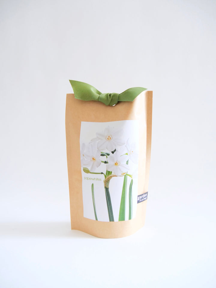 Garden in a Bag Kit with Soil, Seeds & Growing Bag (Assorted Year-Round)
