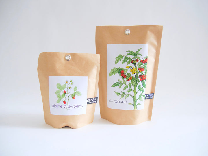 Garden in a Bag Kit with Soil, Seeds & Growing Bag (Assorted Year-Round)