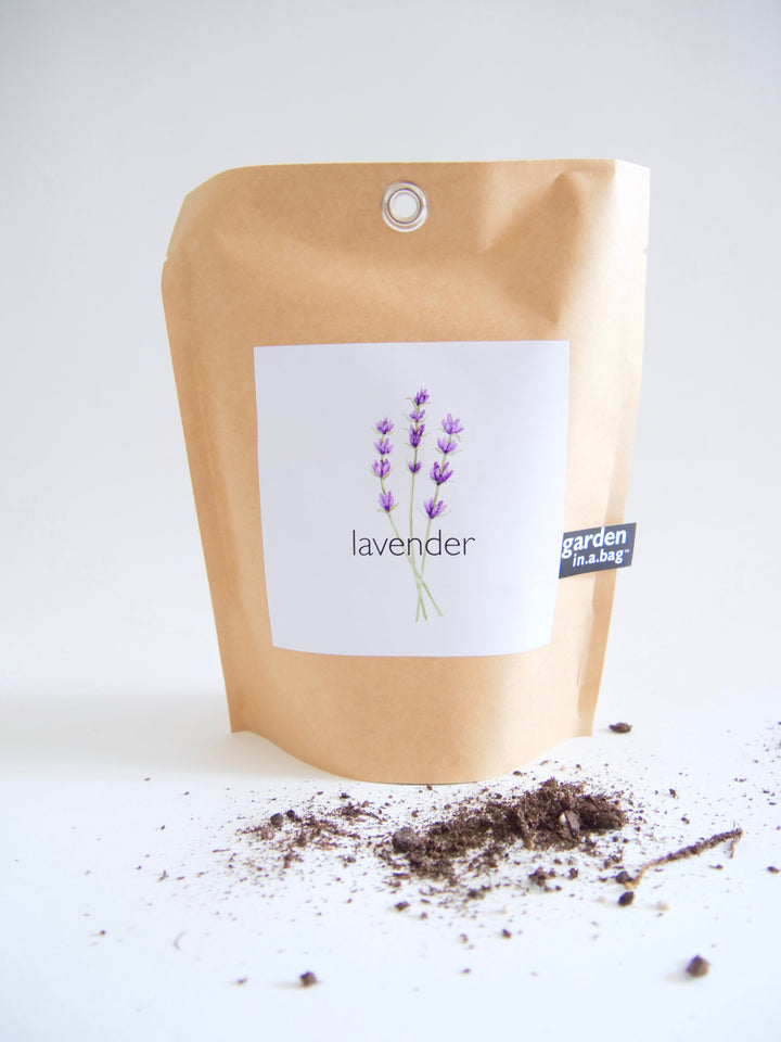 Garden in a Bag Kit with Soil, Seeds & Growing Bag (Assorted Year-Round)
