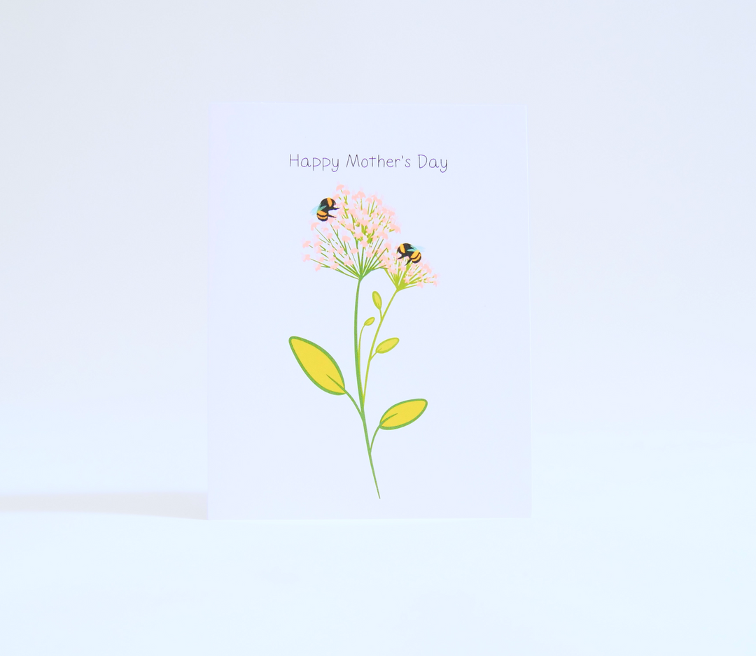 Mother's Day Greeting Cards + Matching Envelope - Assorted (Occasions / Words of Love)