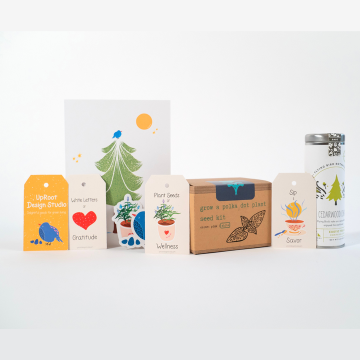 "Jolly Greenhouse" Gift Box: Mint Tea, Honey, Card, Minijournal, Sticker, White Polka-Dot Plant Growing Kit (Winter Dreaming)