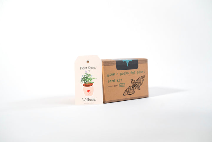 "Festive Garden" Gift Box: Chai, Stickers, Evergreen Candle, Cards, Meditations, Journal, Herbal Tea + White Polka-Dot Growing Kits (Winter Dreaming)