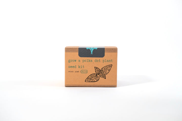 "Jolly Greenhouse" Gift Box: Mint Tea, Honey, Card, Minijournal, Sticker, White Polka-Dot Plant Growing Kit (Winter Dreaming)