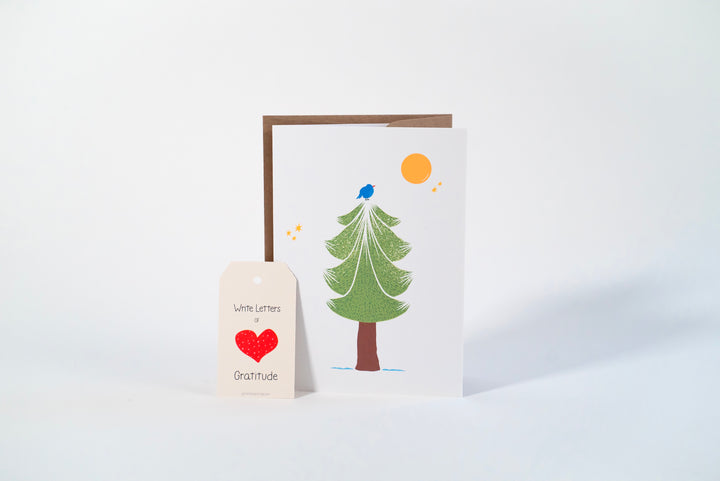 "Festive Garden" Gift Box: Chai, Stickers, Evergreen Candle, Cards, Meditations, Journal, Herbal Tea + White Polka-Dot Growing Kits (Winter Dreaming)