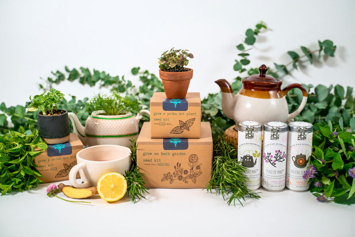 Build Your Own Custom Growing Gift Box with Garden Kit, Plant Kit, Organic Tea & Meditation Card of Your Choice