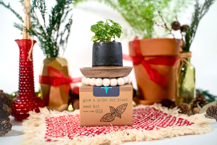 "Get Growing" Mindful Gardening Kit: Mindfulness Journal, Meditation Card + Growing Kit - Assorted (Winter Dreaming)