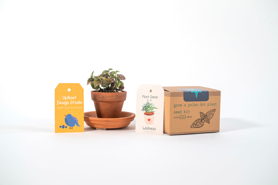 "Plant Parent" Gift Box: Pink Polka-Dot Houseplant Kit, "Hey Beautiful" Soy Candle, Houseplant Tote Bag, Greeting Card, Floral Tea, Mindfulness Journal (Grow & Bloom)