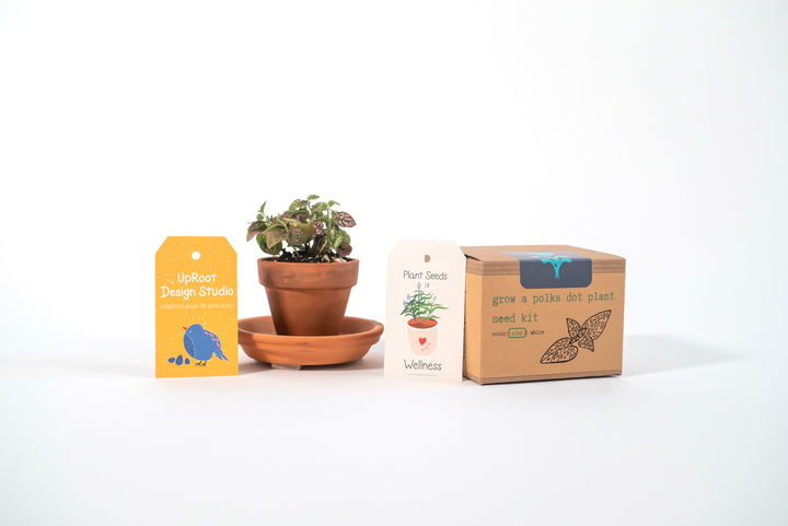 "Plant Parent" Gift Box: Pink Polka-Dot Houseplant Kit, "Hey Beautiful" Soy Candle, Houseplant Tote Bag, Greeting Card, Floral Tea, Mindfulness Journal (Grow & Bloom)