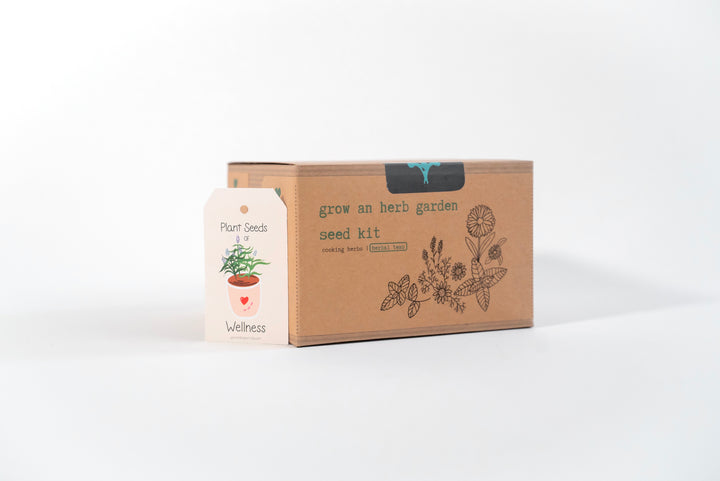 "Get Growing" Plant Kit (Your Choice - Winter Dreaming)