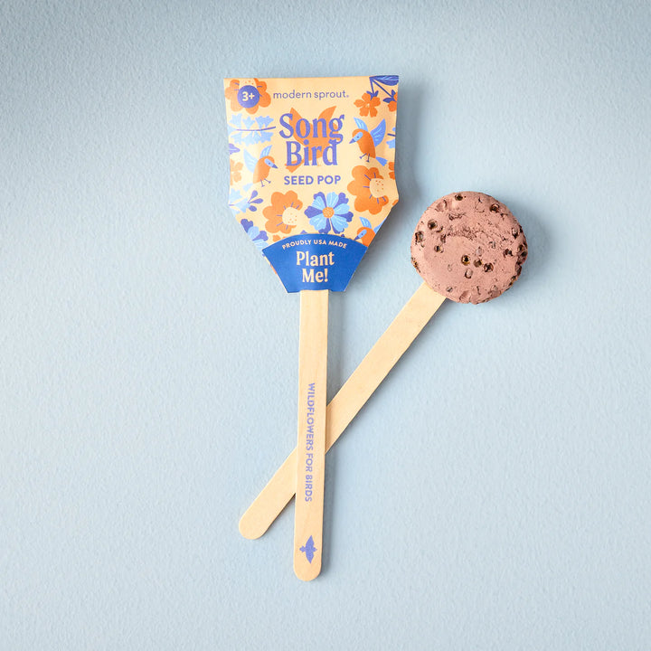 Assorted Pollinator Seed Lollipop with Non-GMO Seeds (Modern Sprout)