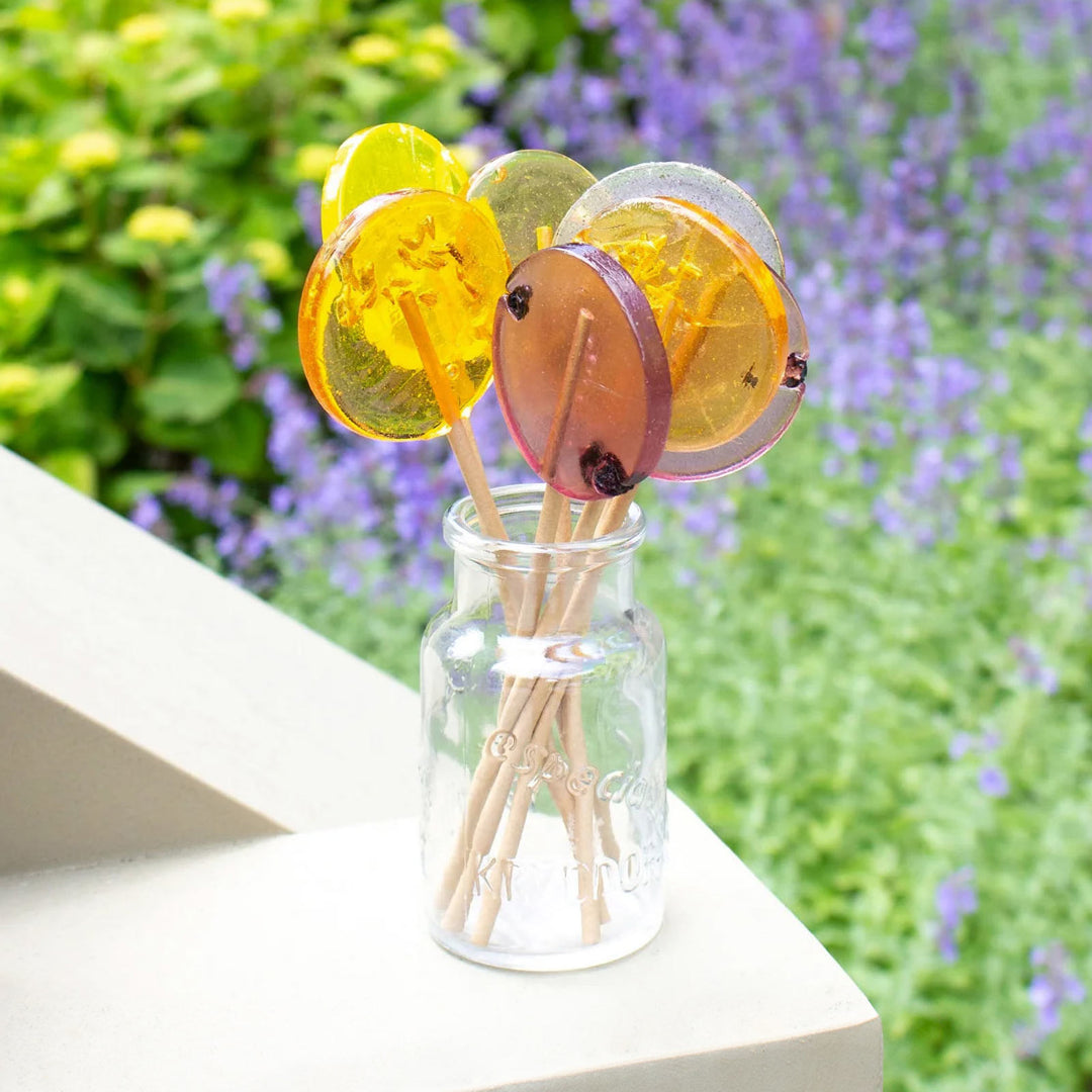 Large Honey Lollipops (Assorted)