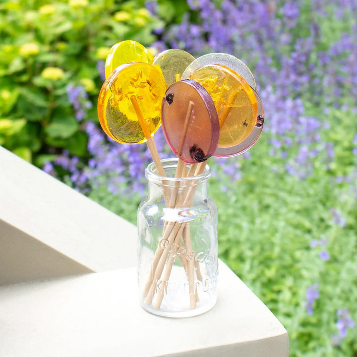 Large Honey Lollipops (Assorted)
