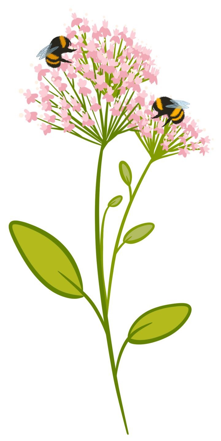 Fanciful Folk Art Individual Sticker Collection - Large (Celebrate Pollinators / Grow & Bloom / Tropical Gardeners)