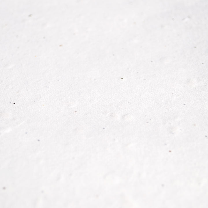 Plantable Growing Seeded Paper - Add-on to any greeting card