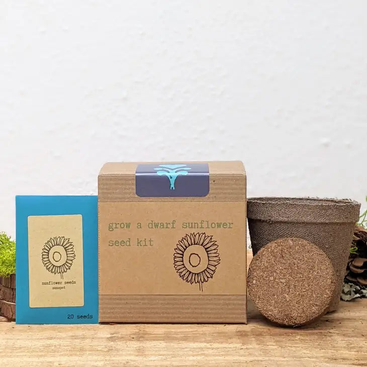 planter sunflower seeds Dwarf Sunflower Growing Kit w. Planters, Soil Pod & Non-GMO Seeds (Get Growing)