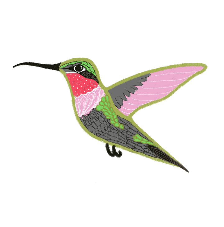 Fanciful Folk Art Individual Sticker Collection - Large (Celebrate Pollinators / Grow & Bloom / Tropical Gardeners)