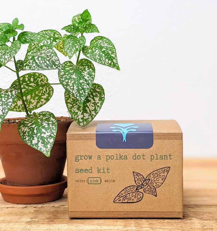 "Get Growing" Mindful Gardening Kit: Mindfulness Journal, Meditation Card + Growing Kit - Assorted (Winter Dreaming)