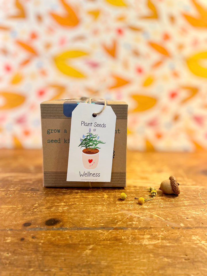Calendula Tea Growing Kit (Get Growing)