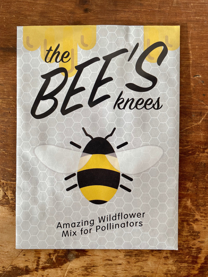 Non-GMO Wildflower Pollinator Garden Seed Packet - Attract Bees, Butterflies & Hummingbirds! (Seeds of Hope)