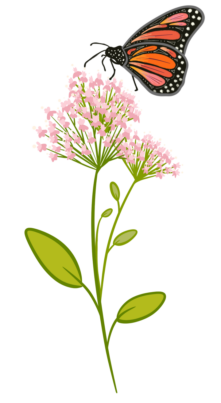 Fanciful Folk Art Individual Sticker Collection - Large (Celebrate Pollinators / Grow & Bloom / Tropical Gardeners)