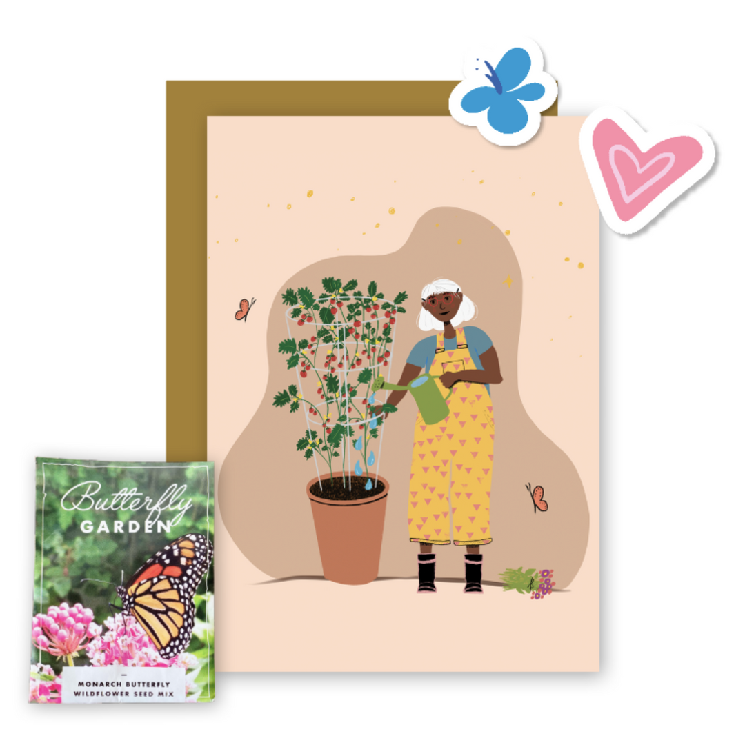 butterfly garden seed kit Butterfly Garden Pollinator Greetings Kit w. Non-GMO Butterfly Seed Pa – UpRoot Design Studio