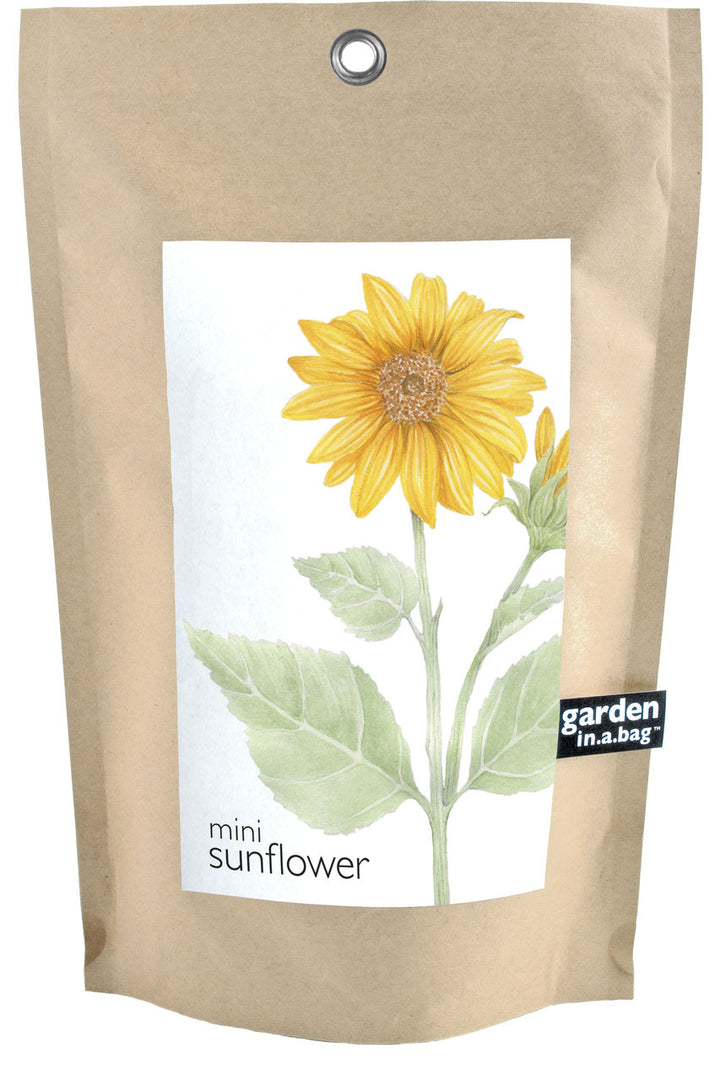 Garden in a Bag Kit with Soil, Seeds & Growing Bag (Assorted Year-Round)